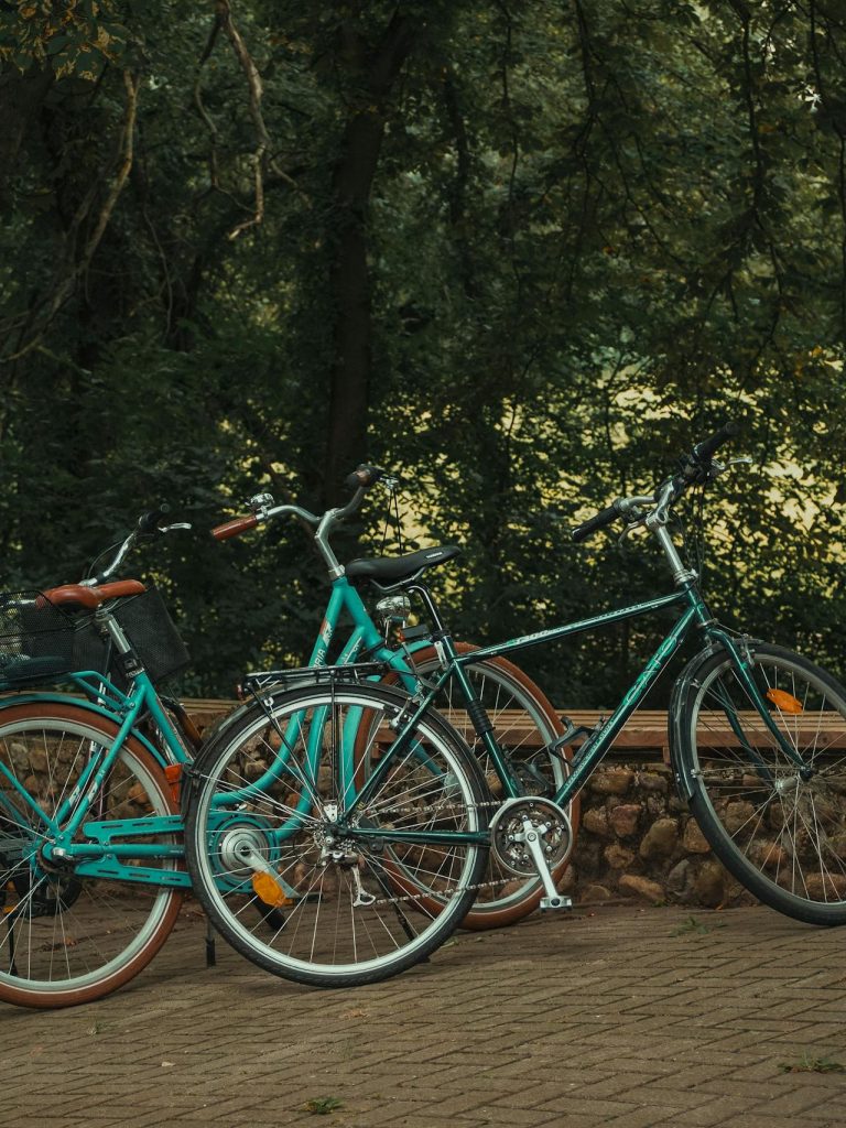 Bicicletas